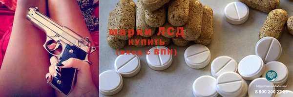 дживик Няндома