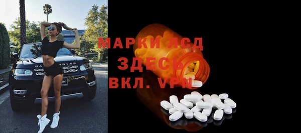 дживик Няндома