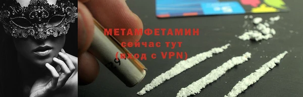 дживик Няндома