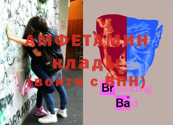 дживик Няндома