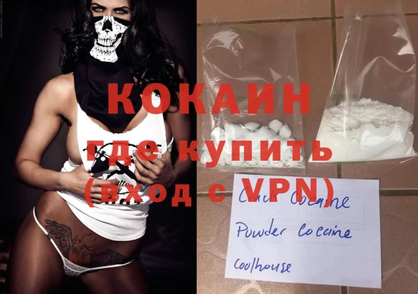 дживик Няндома