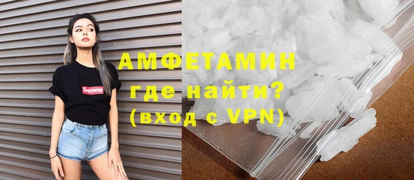дживик Няндома