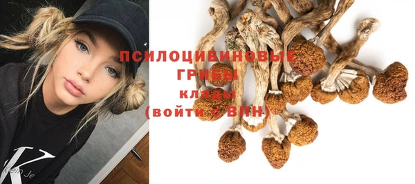 дживик Няндома