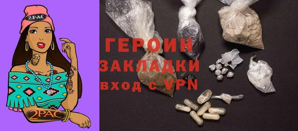 дживик Няндома