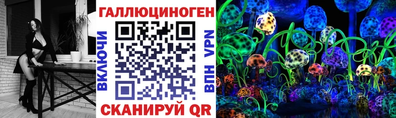 наркошоп  Рошаль  блэк спрут как зайти  Галлюциногенные грибы мицелий 